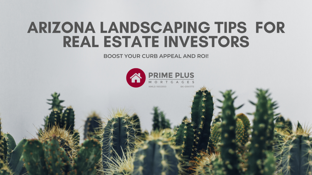 Arizona Landscaping Tips For Real Estate Investors