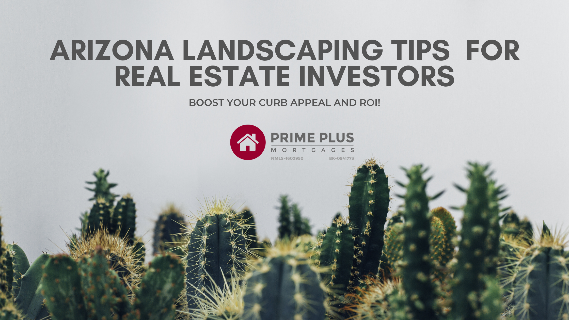Arizona Landscaping Tips For Real Estate Investors
