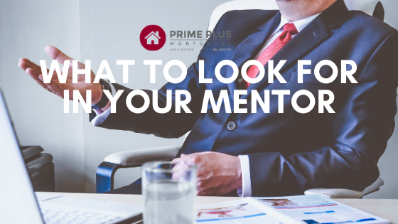 qualites to look for in a real estate inesting mentor